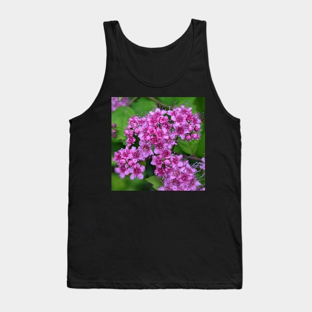 Cluster of Tiny Pink Flowers Photographic Image Tank Top by AustaArt